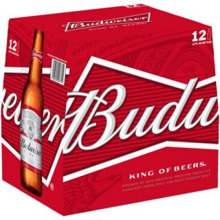 BUDWEISER 20PK NR